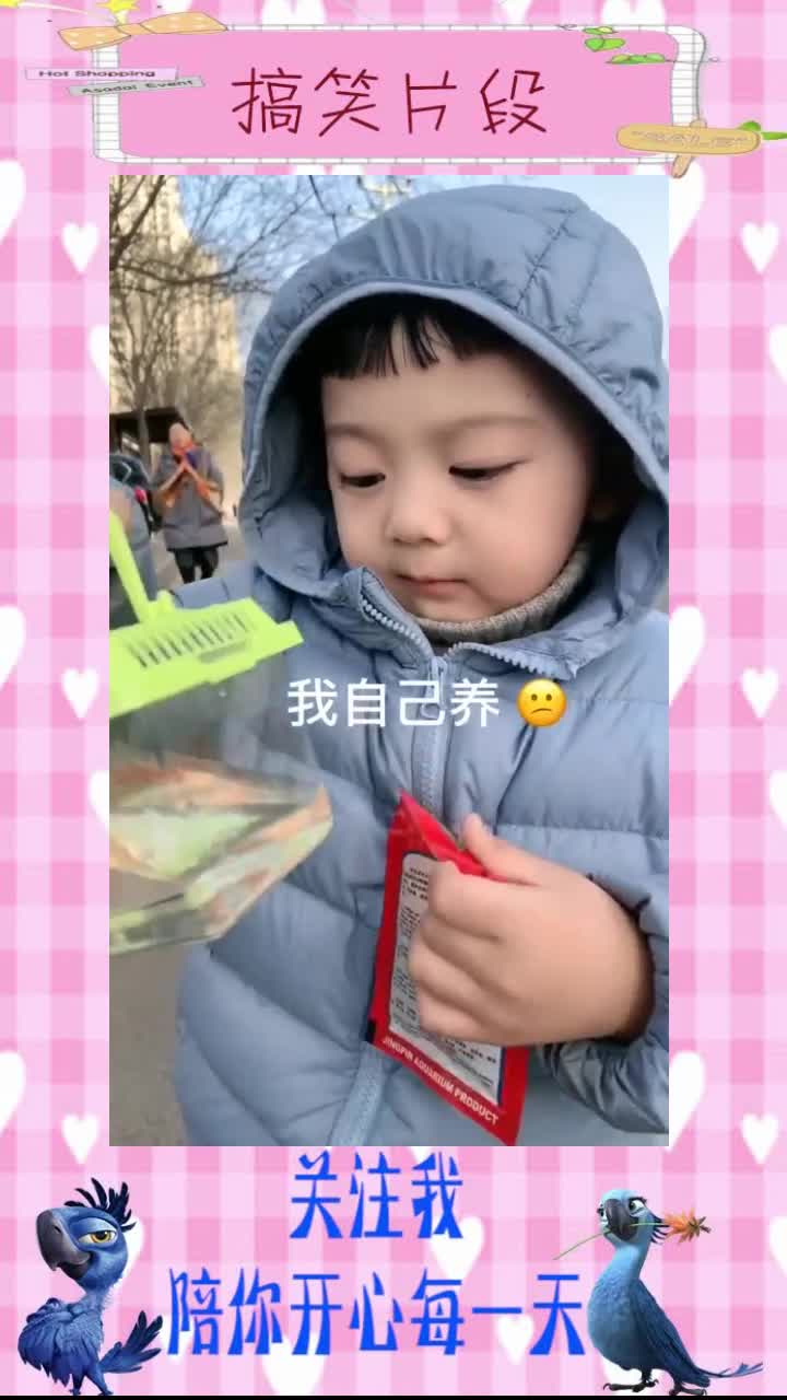 带他去看鱼,他却非要养鱼,可以预见鱼的结局了!#搞笑段子#
