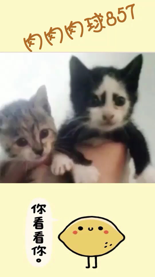 小时候,我以为你会很美丽,可是你。。。