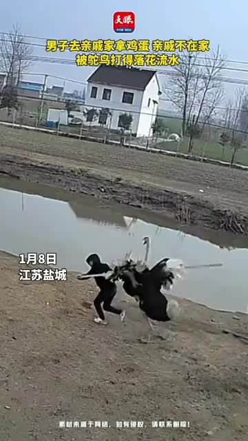 男子去亲戚家拿鸡蛋,亲戚不在家,被鸵鸟打得落花流水