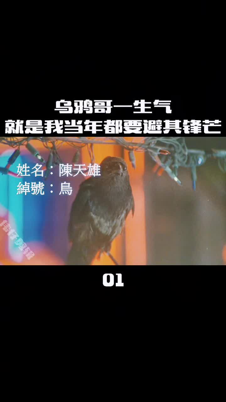 乌鸦为了八十万就对小弟这样