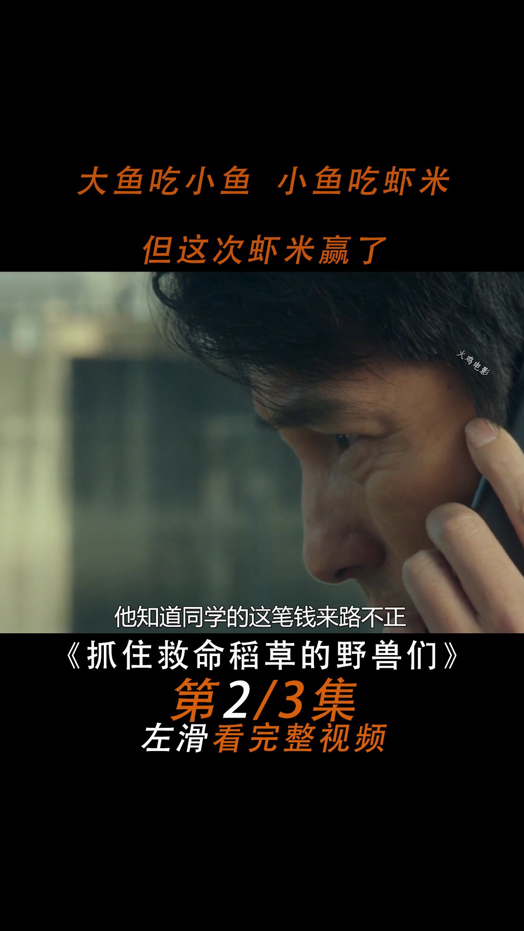 #好看电影#人性剧:抓住救命稻草的野兽们