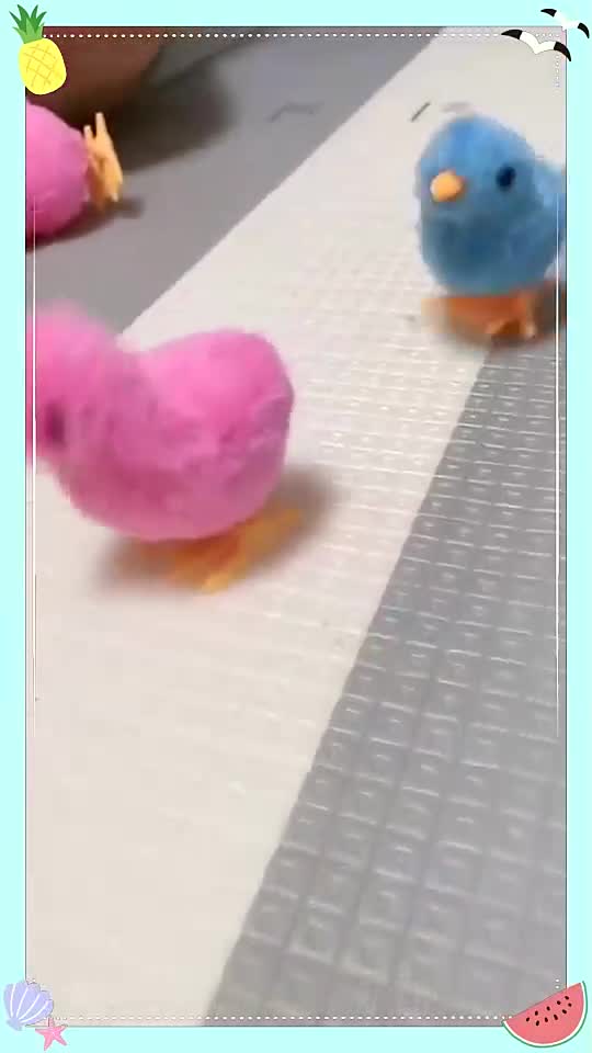 老公花一个月零花给宝宝买了一群小鸡仔,我在隔壁都听她一个劲傻乐,不吃不喝不拉,关键还长不大