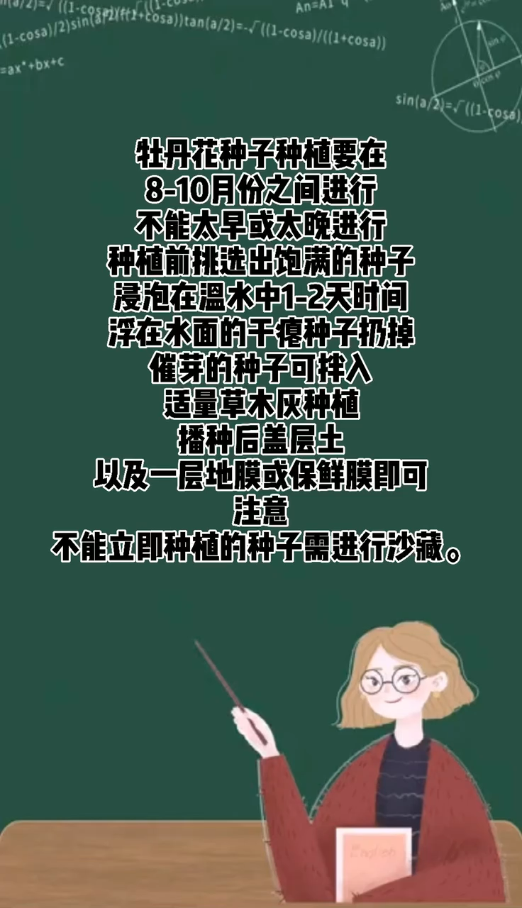 牡丹花种子种植方法
