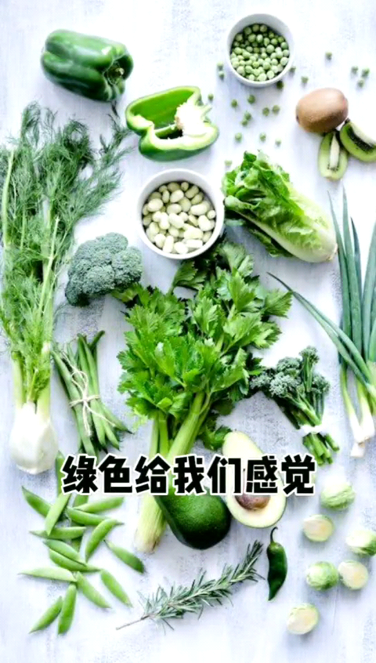 绿色是冷色调还是暖色调