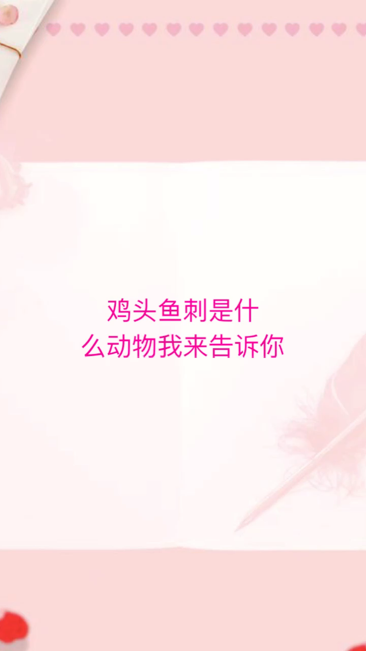 鸡头鱼刺是什么动物我来告诉你