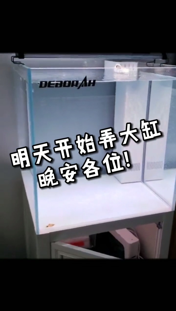 #开缸 #新鱼缸如何开缸养水 #鱼缸 #鱼缸过滤 #养鱼教程 #养鱼先养水