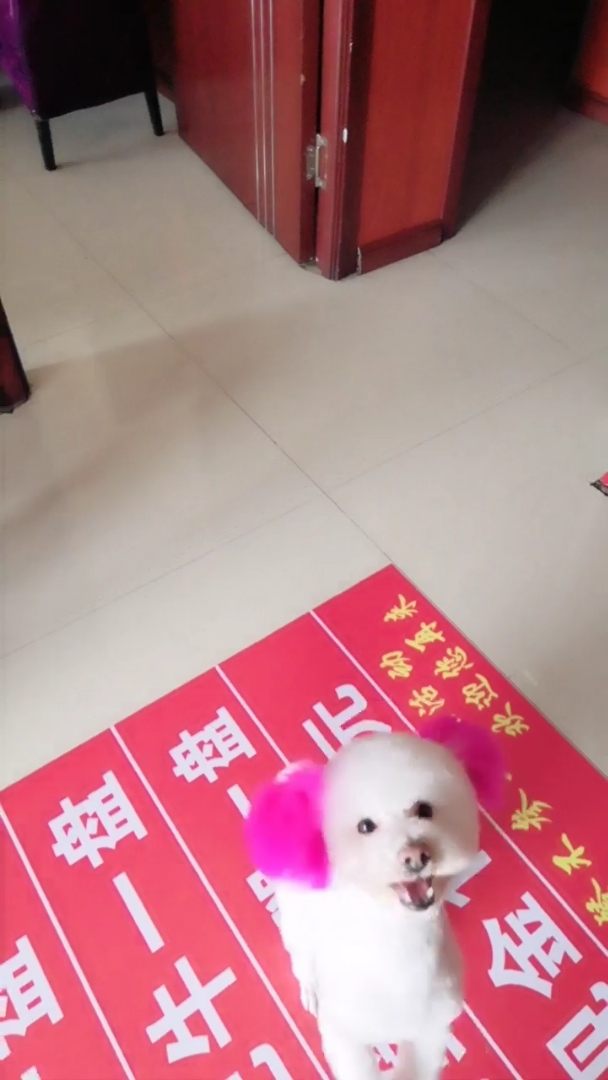 这是刚洗完澡回来