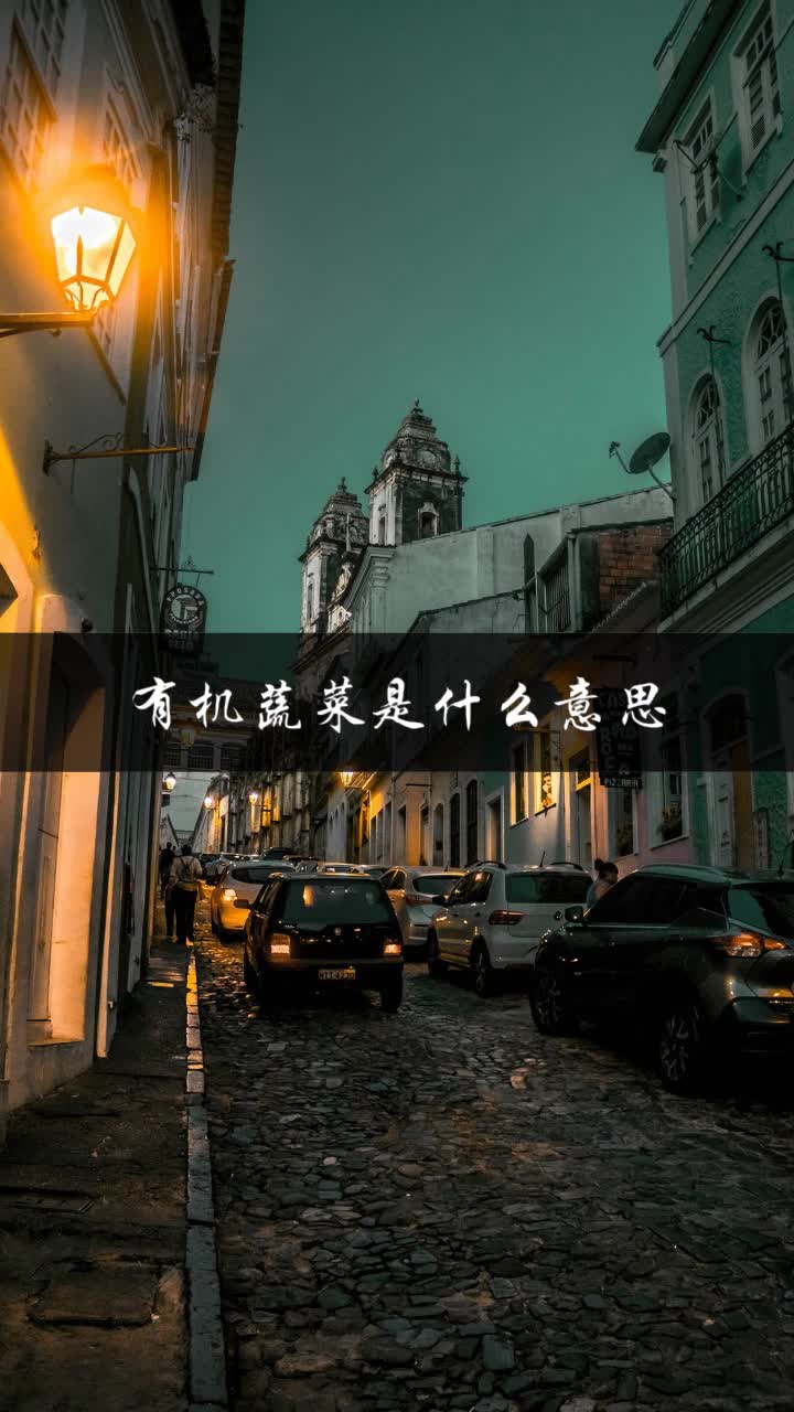 有机蔬菜是什么意思