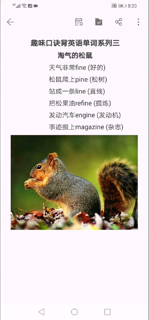 趣味口诀背英语单词系列三:淘气的松鼠