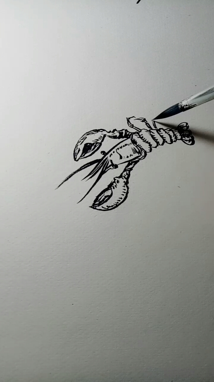 #全民好物节#小笼虾白描画法过程