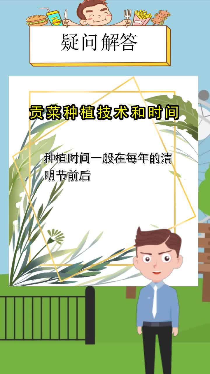 贡菜种植技术和时间,你理解了吗