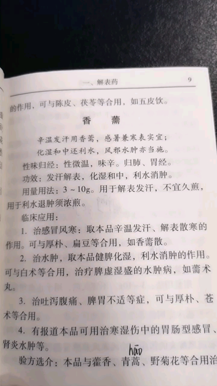 每天一味中草药5香薷