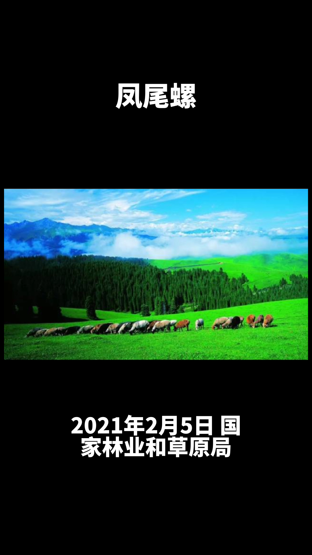 凤尾螺是不是保护动物