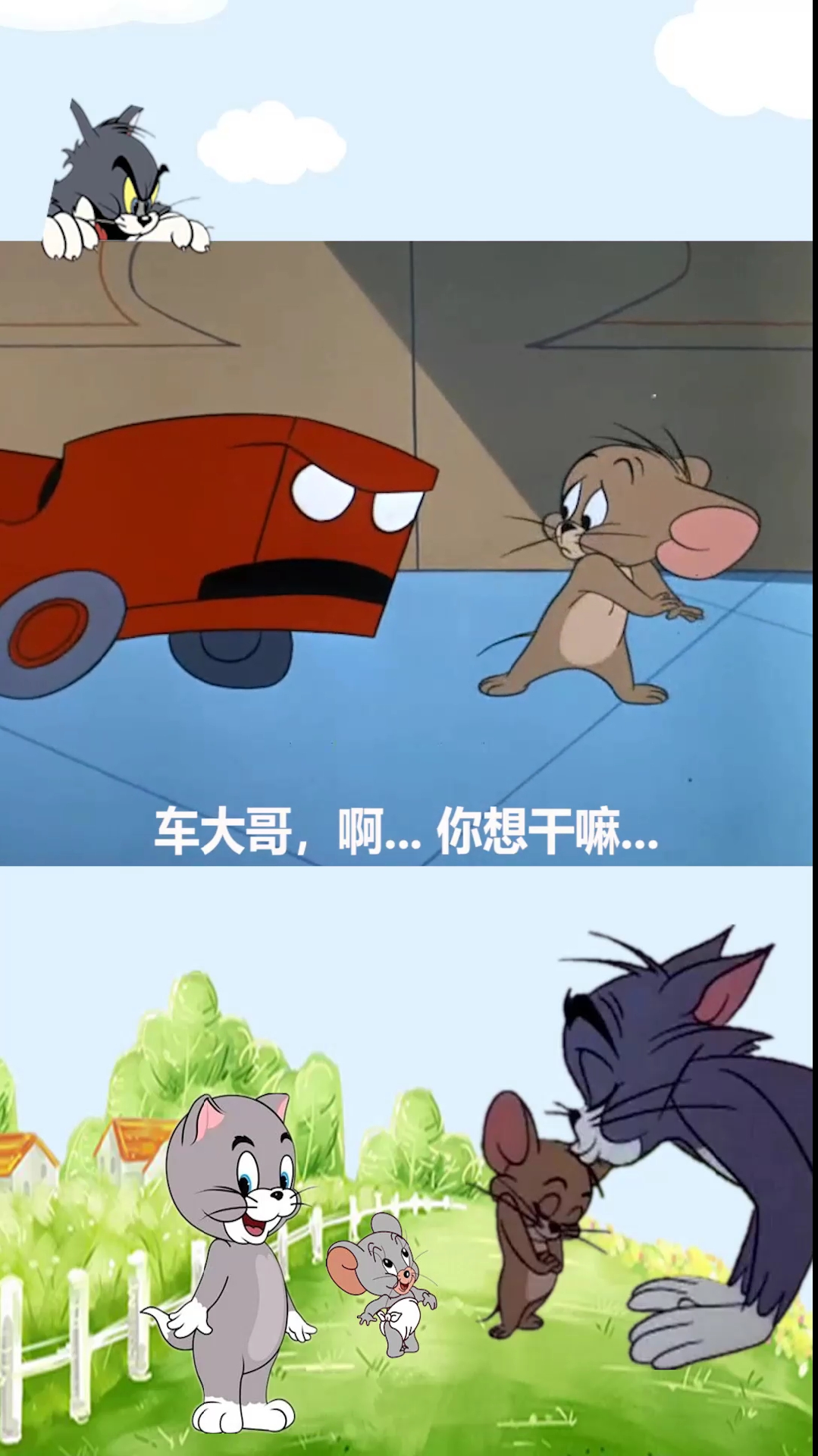 猫和老鼠方言配音:杰瑞开车遇到奇葩事件……