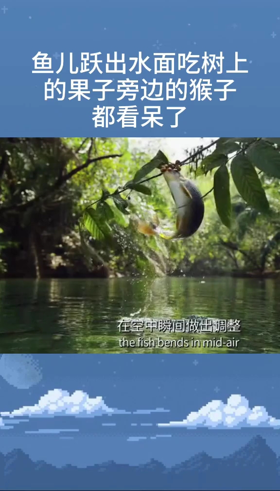 #每日穿搭#第一次见过