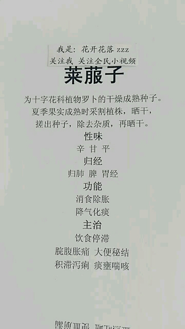 #我的私藏景点#莱菔子的功效
