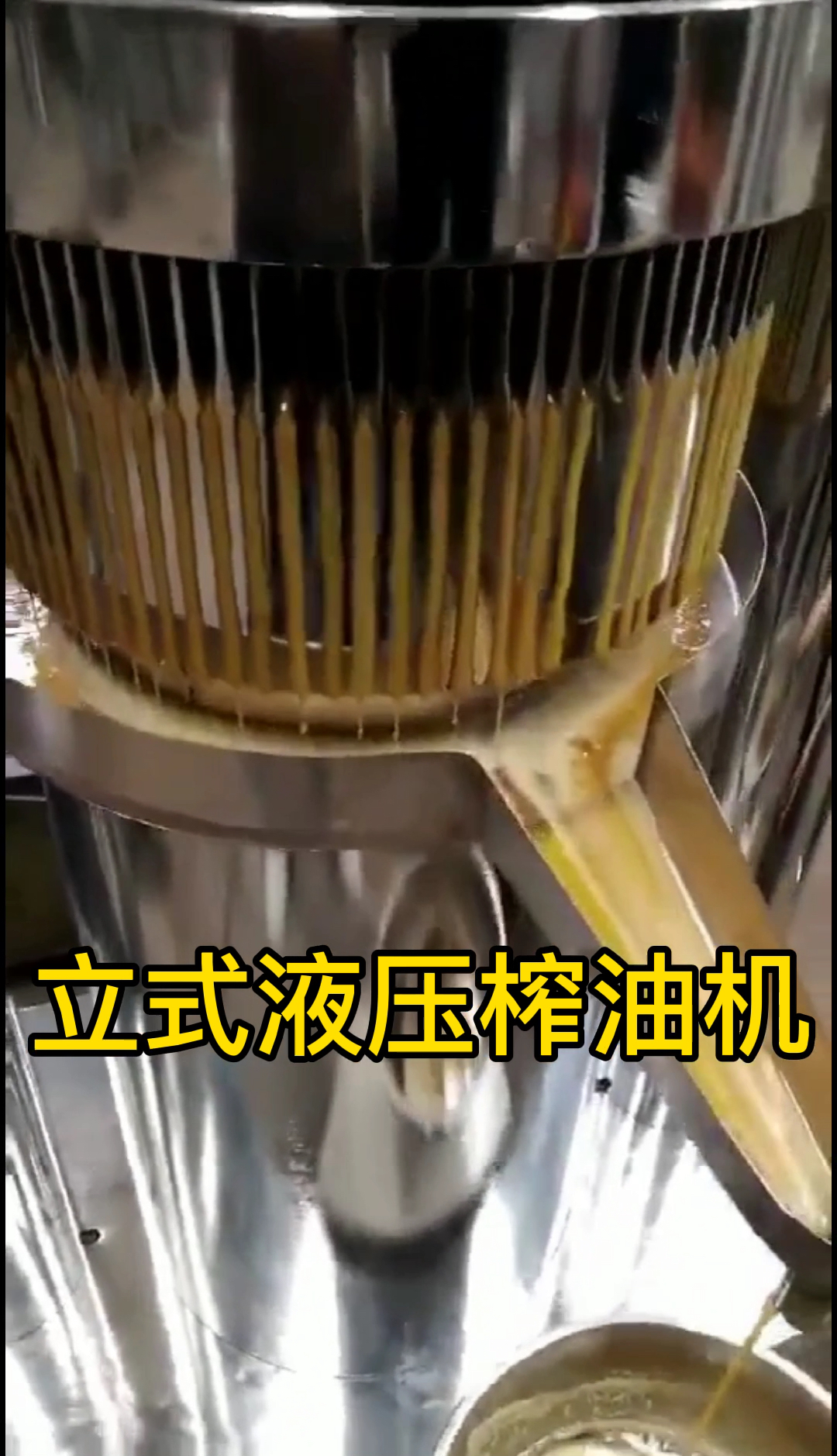#全民正能量#立式液压榨油机榨花生菜籽胡麻榨油速度好快见证它的速度榨好油就用它