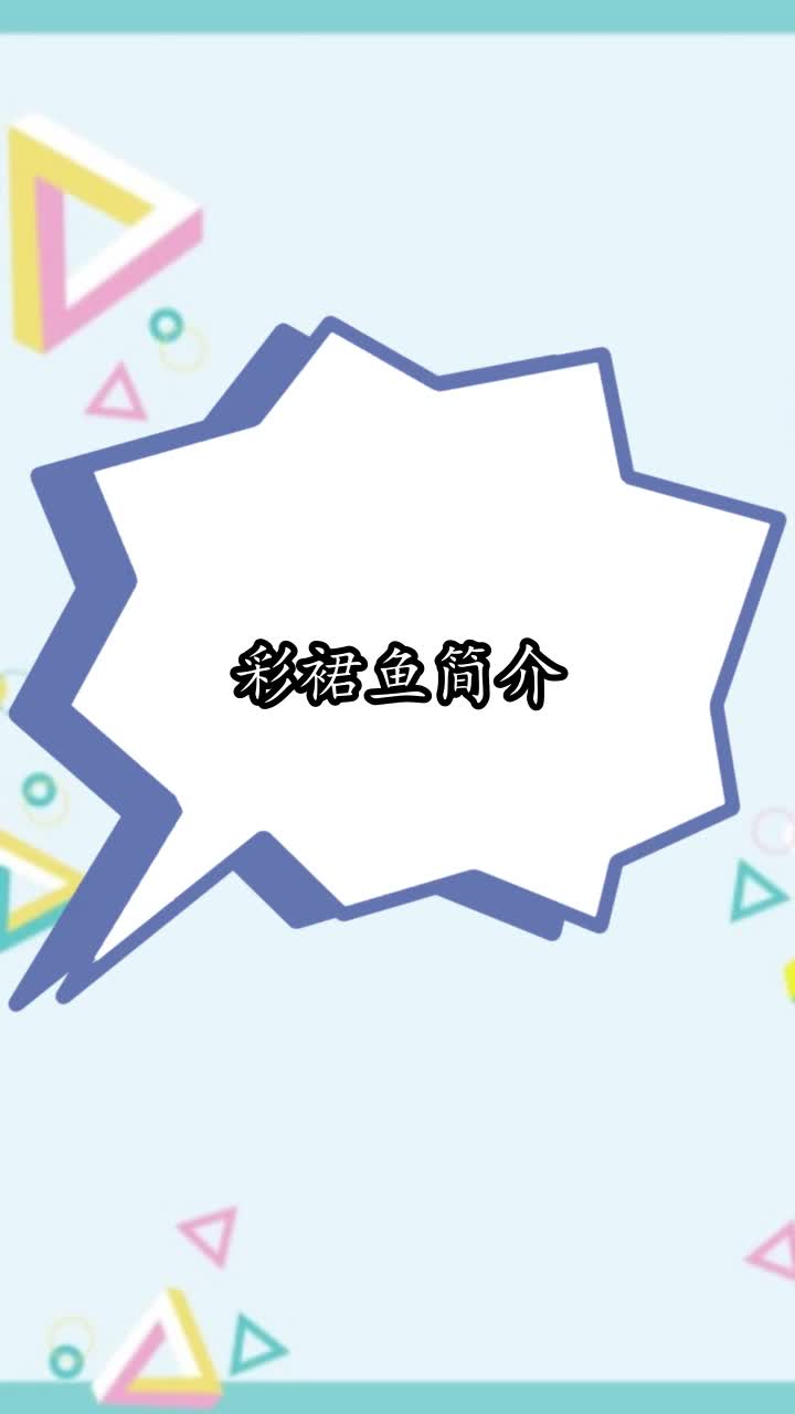 彩裙鱼简介,你理解了吗