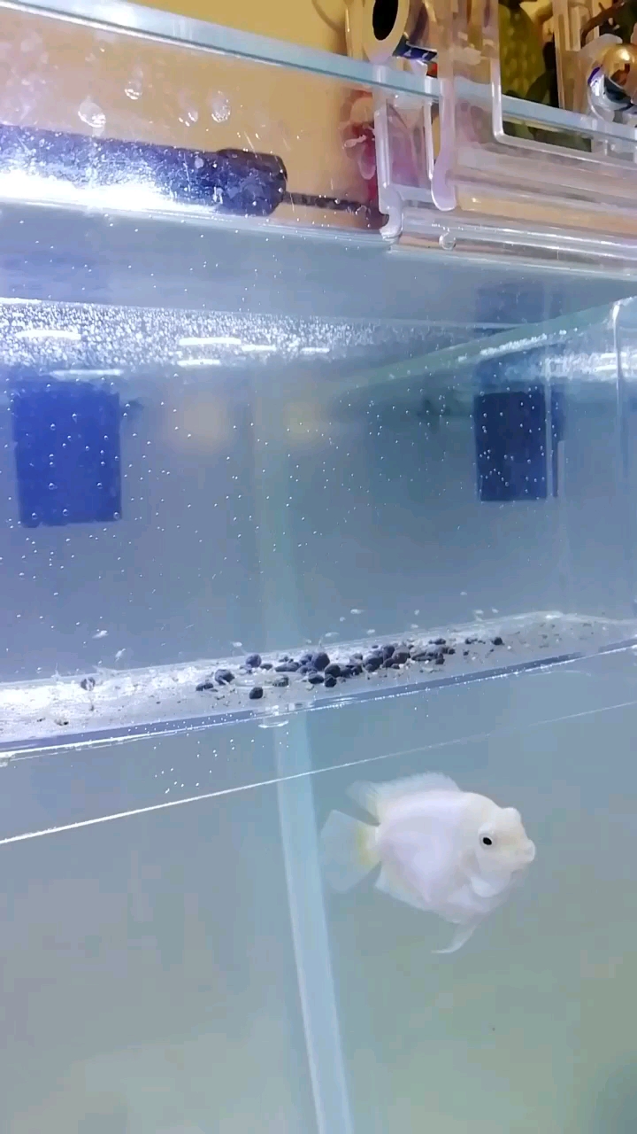 分享视频