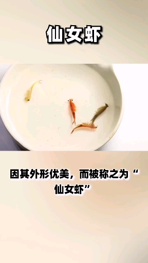 #动物世界#两亿年历史的生物