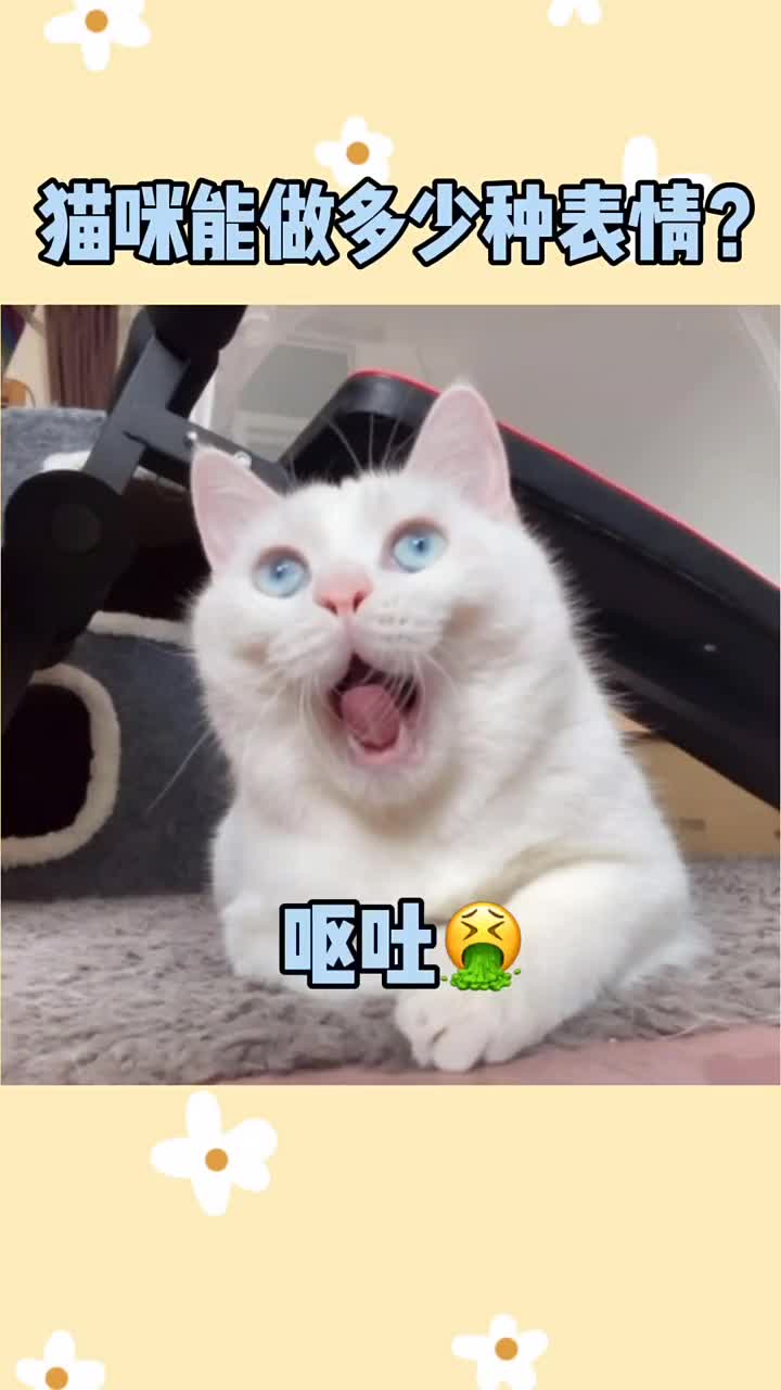 表情包就是这么来的,希望看到最后可以挽回鱼丸在大家心目中的形象,哈哈