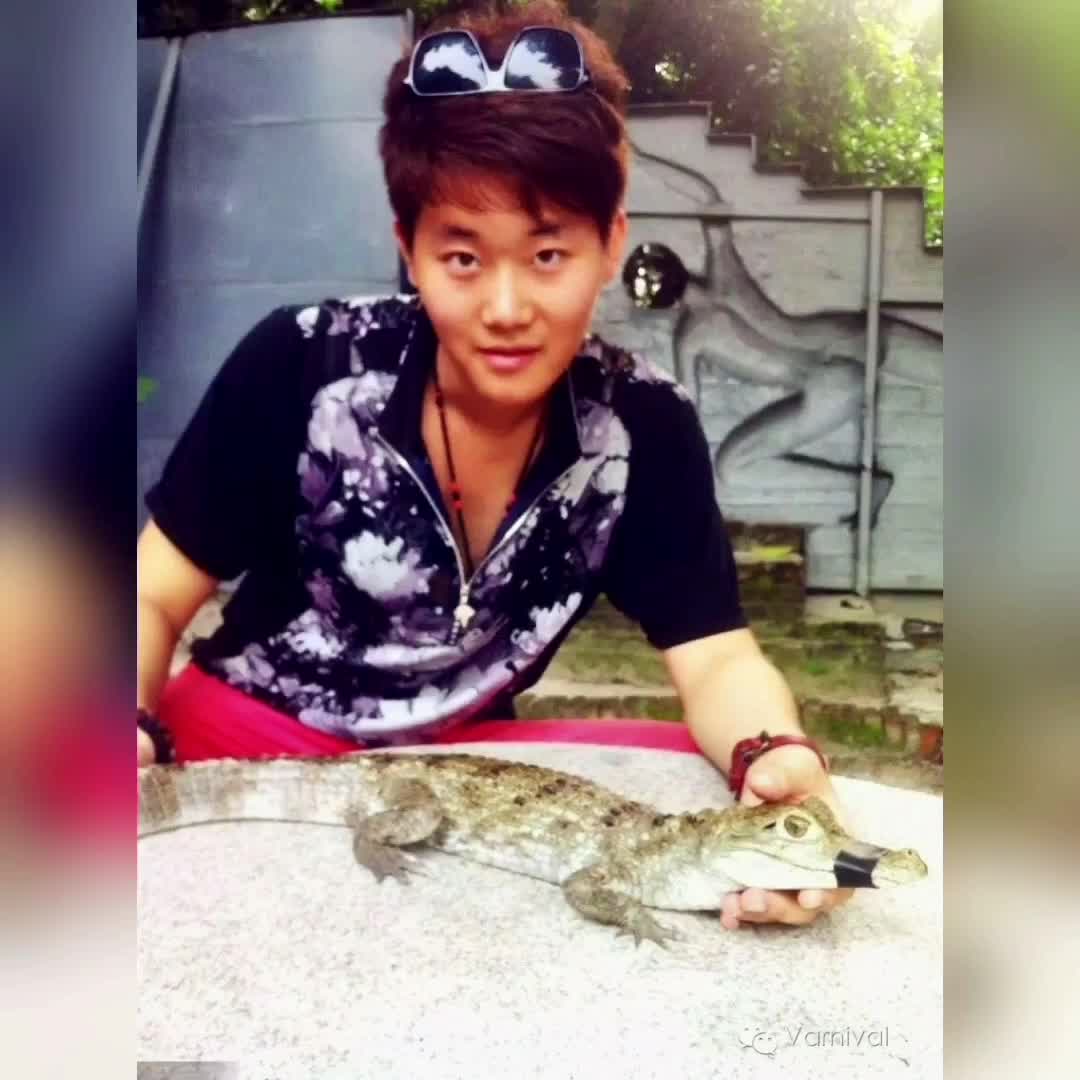 广东广州·长隆鳄鱼公园比邻香江动物世界特色十万巨鳄震撼之旅开启世界鳄鱼趣味之窗观赏更多狂野