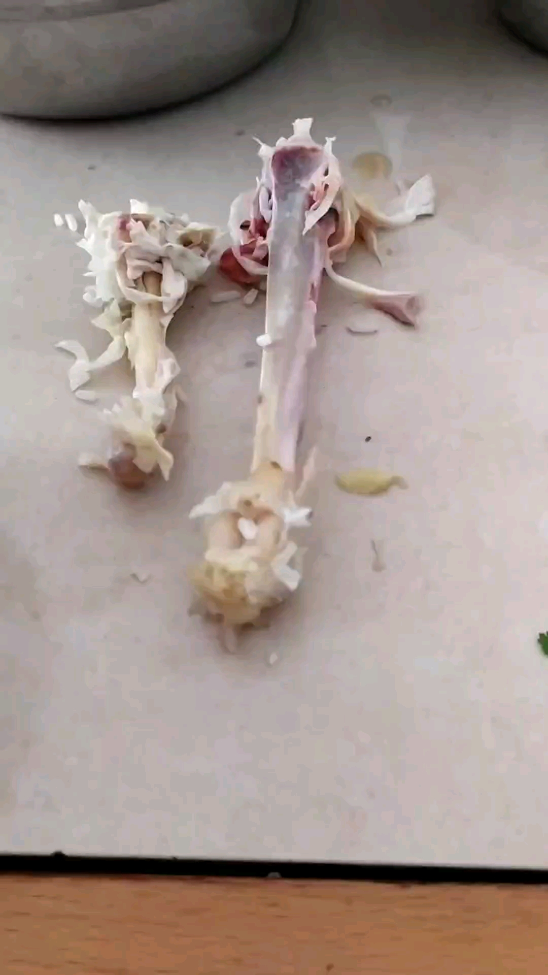 广东人年三十拜神的鸡、肉中午起随随便便又一餐