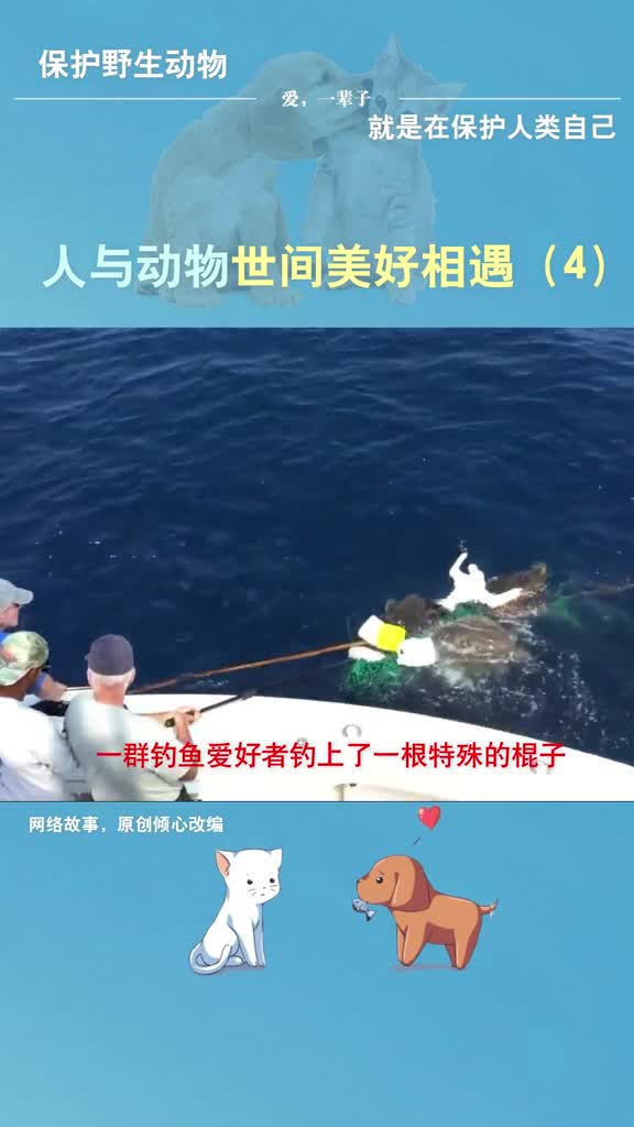 钓鱼爱好者从海里钓上一根棍子,看了让人惭愧又揪心,#宠能量