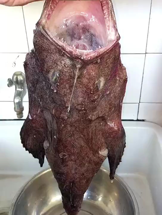 分享视频