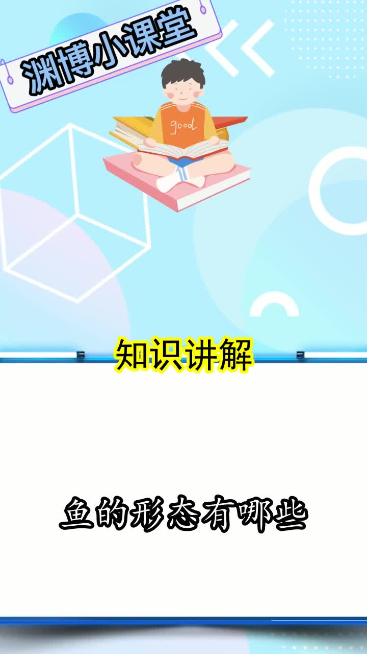 鱼的形态有哪些,你了解了吗
