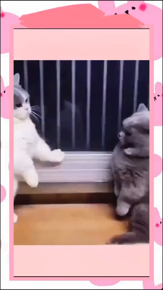 #搞笑视频#这就是传说中的两个女人打架,眼睛一闭,俩手一伸,挠哪算哪,无招胜有招!
