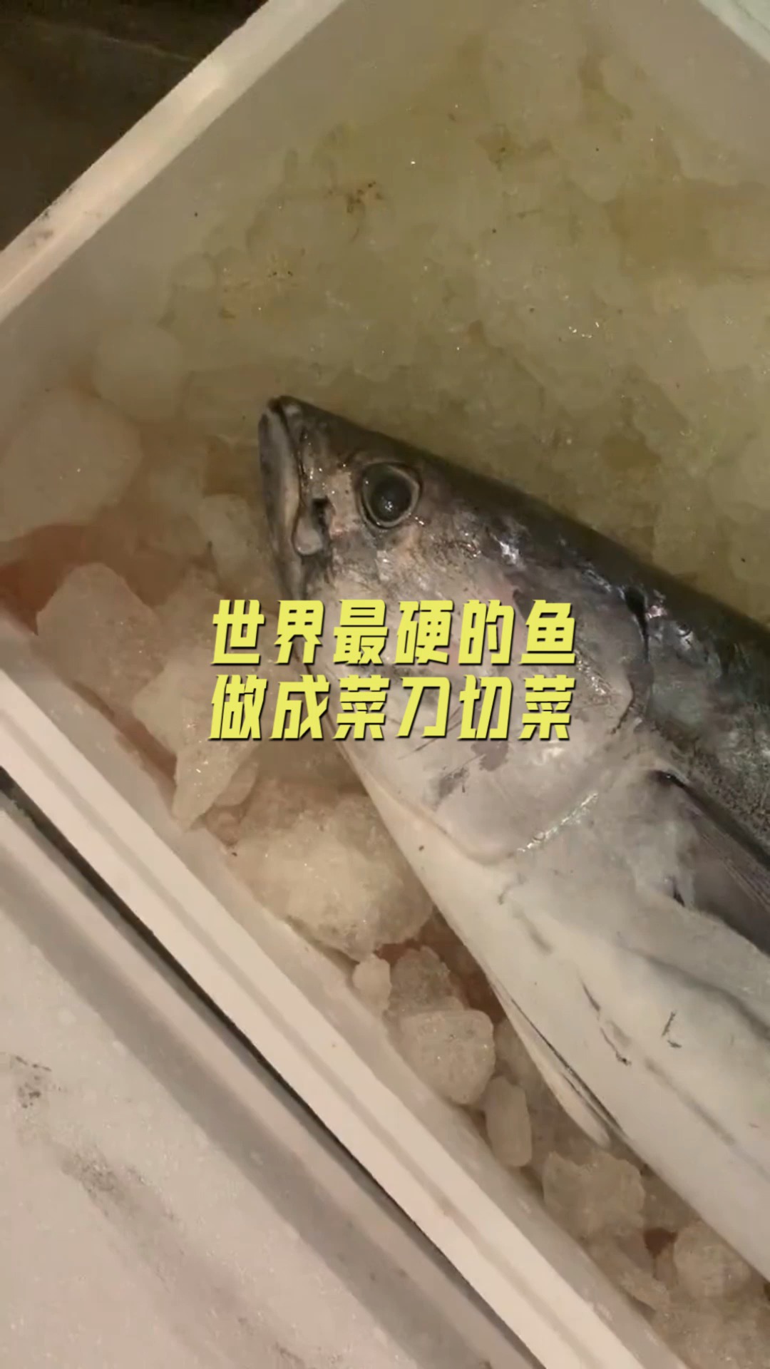 #美食#世界最有骨气一种鱼,被捕捉到就直接自杀,你知道吗是什么鱼吗?