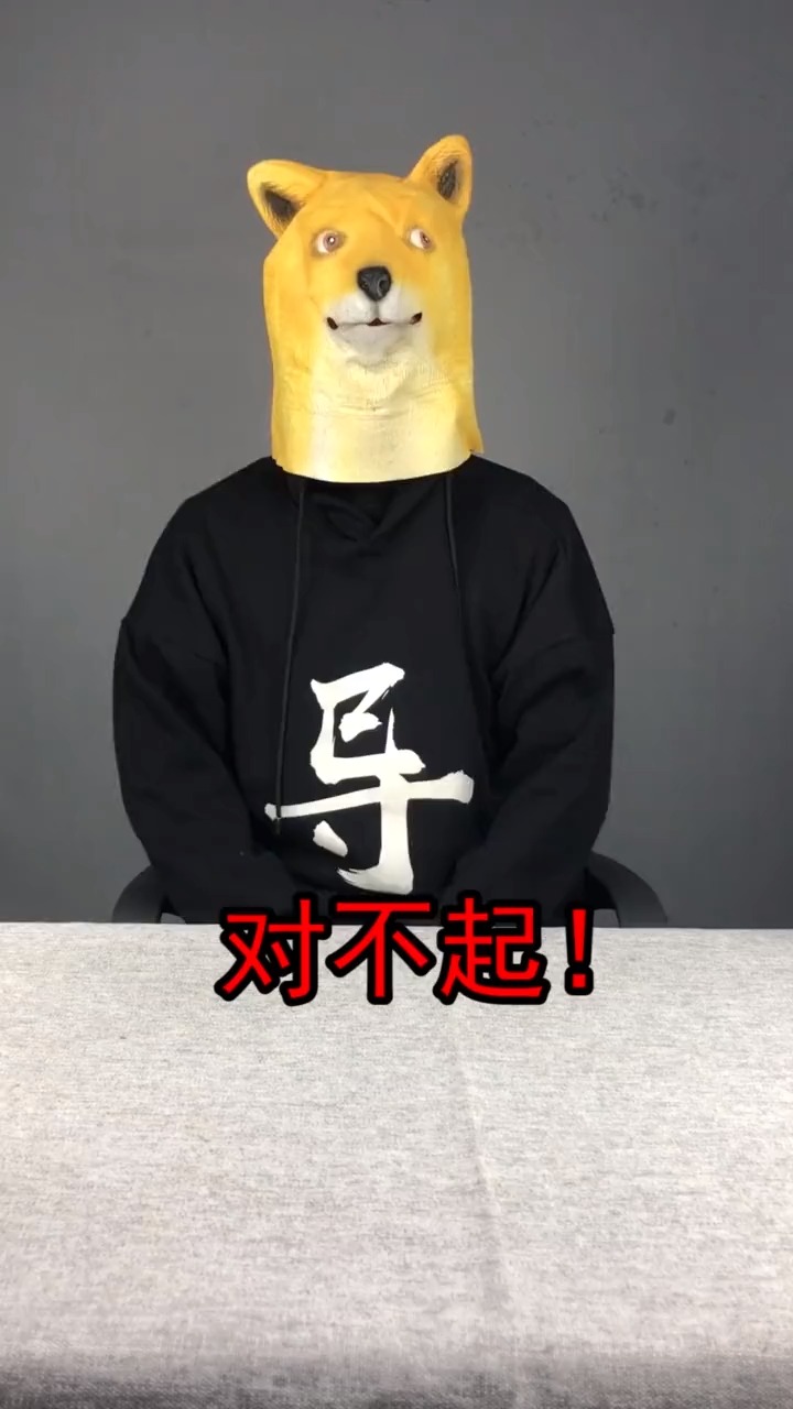 我必须养活小蓝!为自己正名!和阿发一起养鳌虾(二)