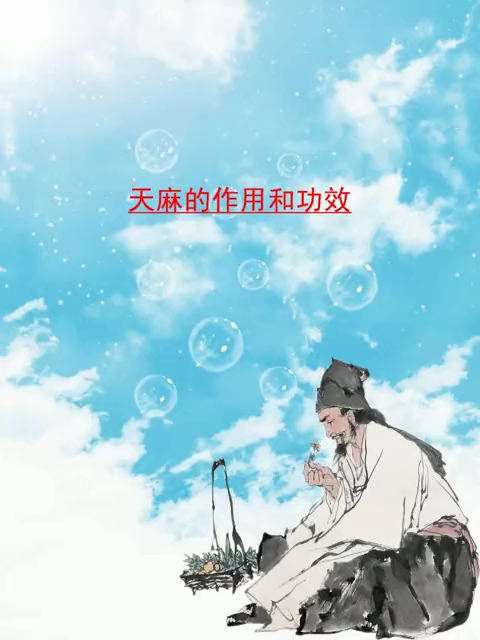 天麻的作用和功效