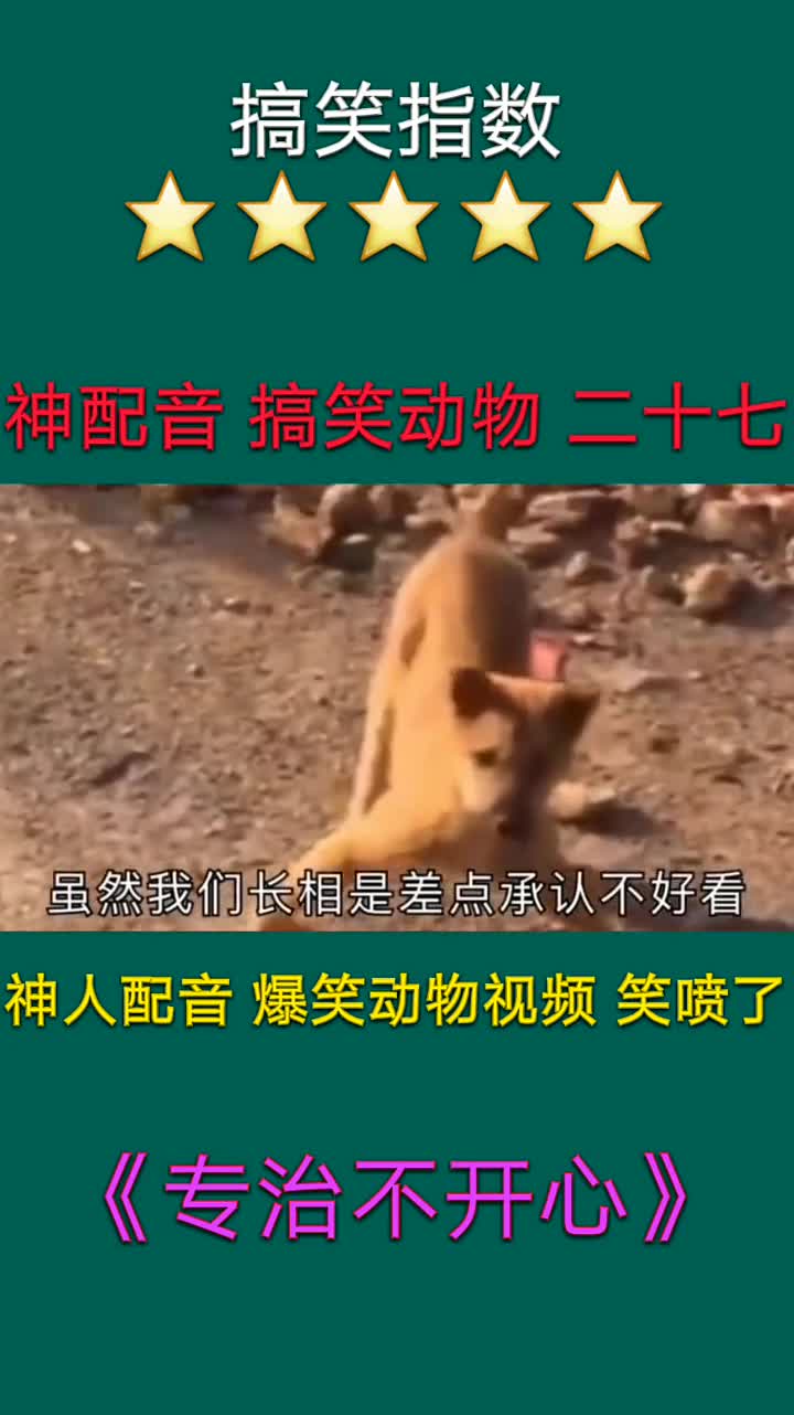 欢迎关注一代笑神,每日一段娱乐视频,让你乐不停11309