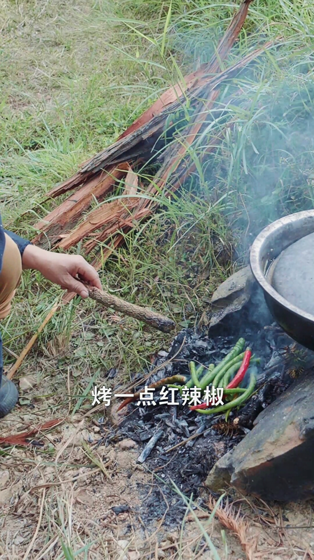 #丰收的季节#在酸汤鱼里加点辣椒面和野菜,酸辣鲜香,那滋味真绝了