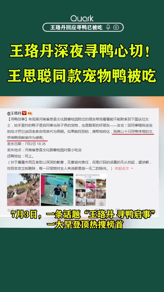 #王珞丹寻鸭启示后续:被曝是王思聪同款鸭的#吉吉已经不在这个世界上了