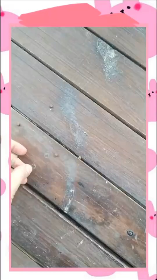 捡了一粒鱼屎,就一粒,它们就疯了!