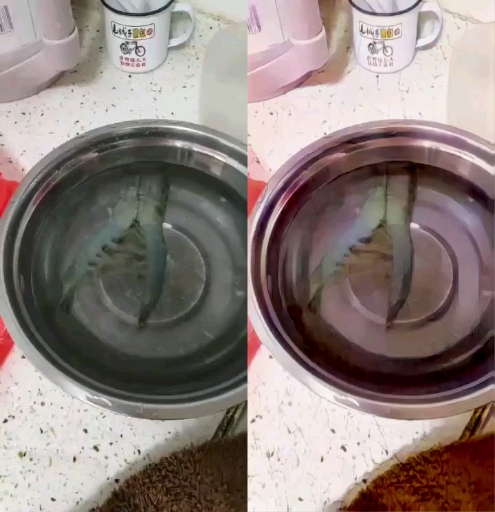 #带你走进漫画里#大虾