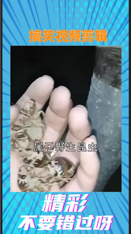 #我要上热门#奇趣往年元一斤,如今却无人收购了,是因为不值钱了吗