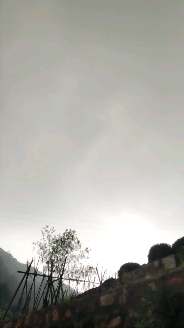 满天的乌云黑沉沉的压下来,树上的叶子……