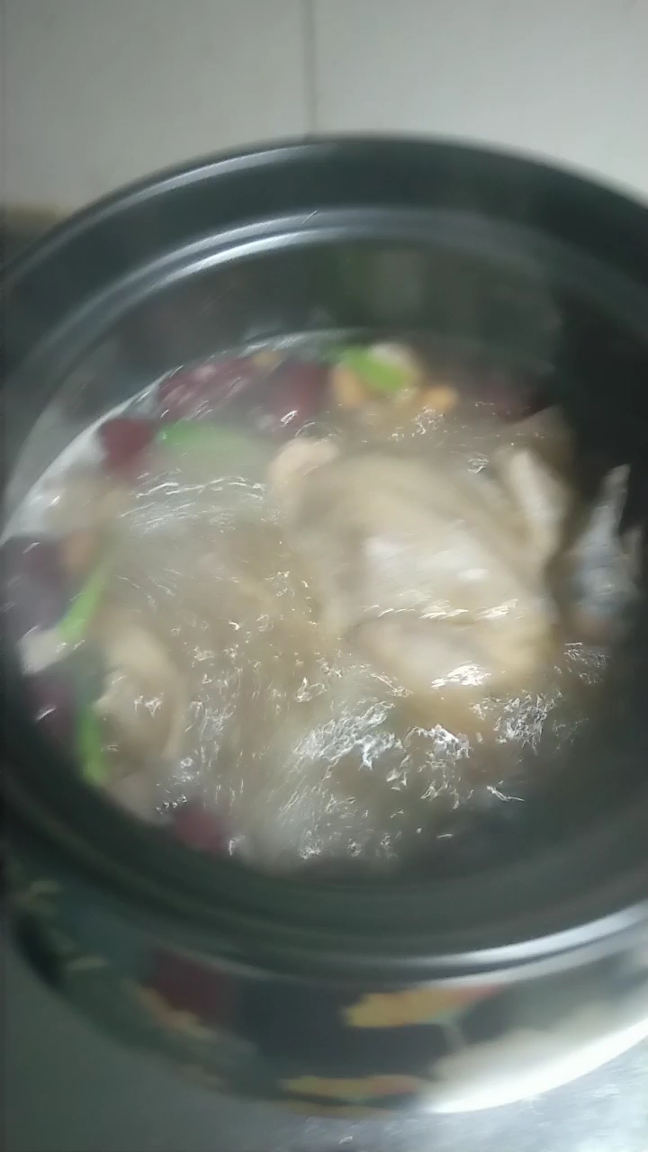 炖鸽子
