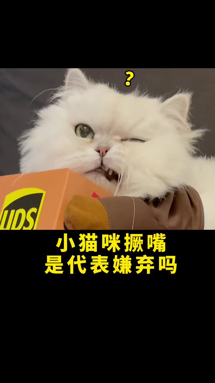 #萌宠#“你好请带着你的小鱼干来签收一下快递