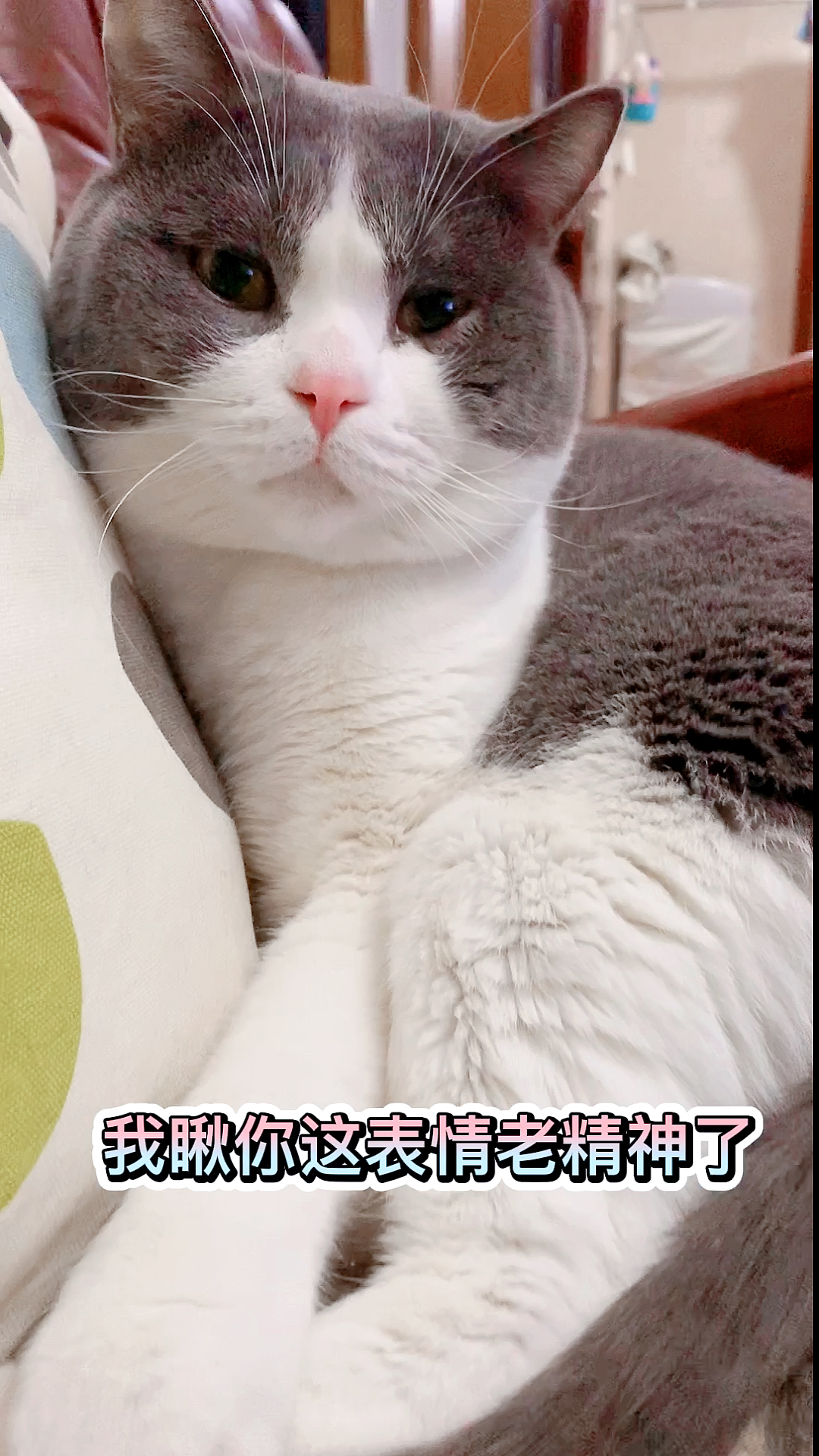 #可爱到爆了#今晚吃饺子,现在就得准备上