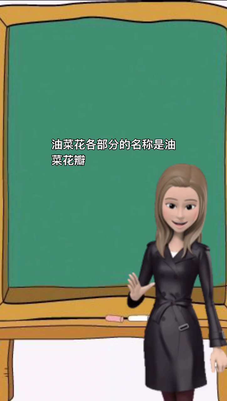 我来告诉你油菜花的结构