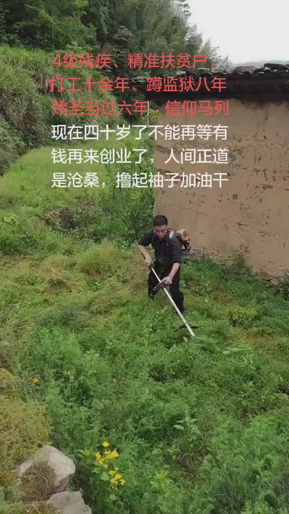 农村的地荒废多年开发出来种成有机蔬菜想法好吧创业初期缺资金必须靠自己吃苦创业万事开头难传递