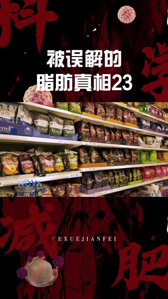创作灵感食物导致的肥胖可能不单纯只食物本身的卡路里有关哦减肥知识大全科学减脂