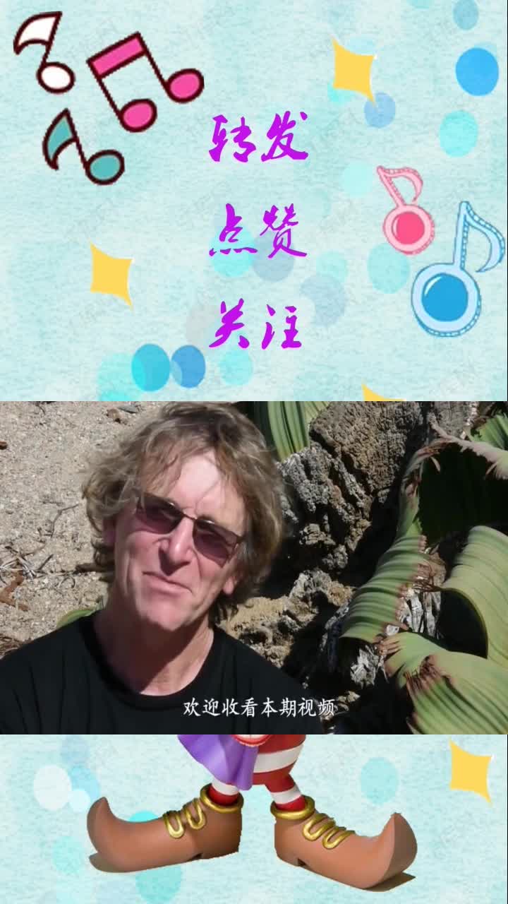 非洲沙漠出现“大章鱼”,生存长达2000年,至今都没有灭绝!