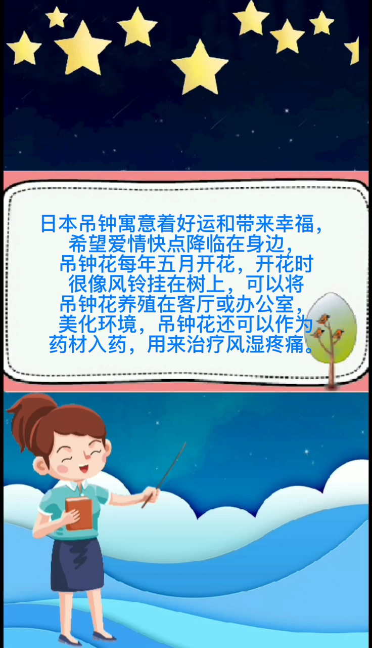 日本吊钟树的寓意是什么