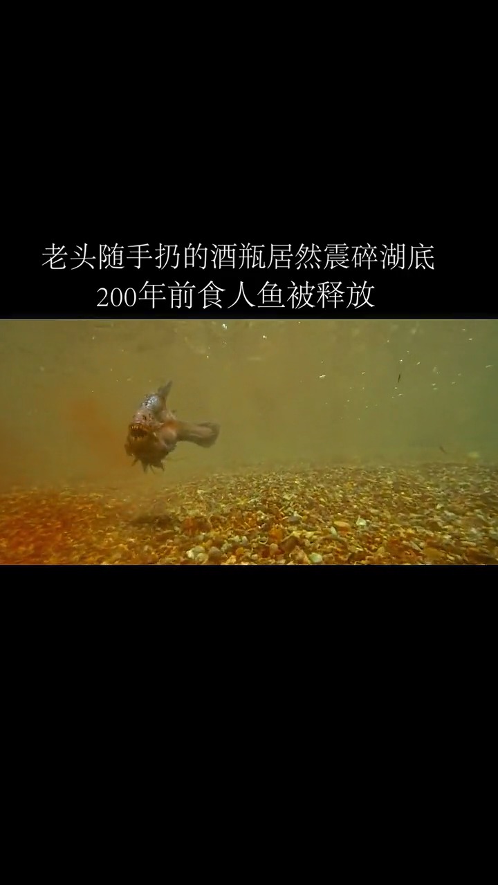 #好看电影#一个酒瓶释放了200万年前食人鱼,灾难正在一步步降临...